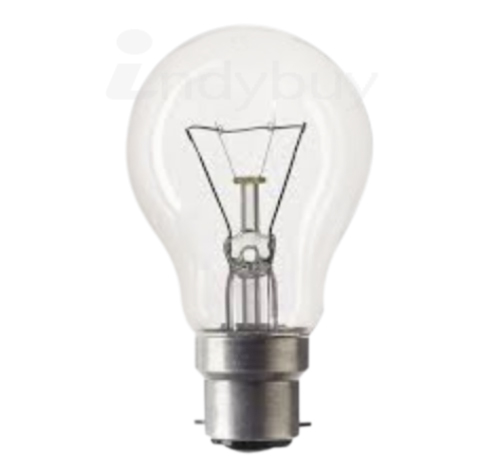 100W Clear Bulb